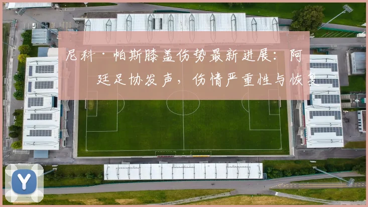 尼科·帕斯膝盖伤势最新进展：阿根廷足协发声，伤情严重性与恢复时间引关注