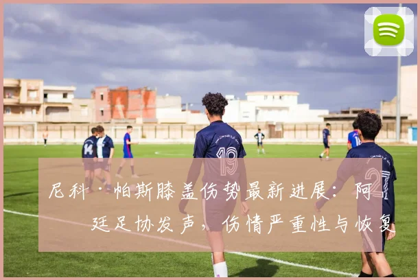 尼科·帕斯膝盖伤势最新进展：阿根廷足协发声，伤情严重性与恢复时间引关注